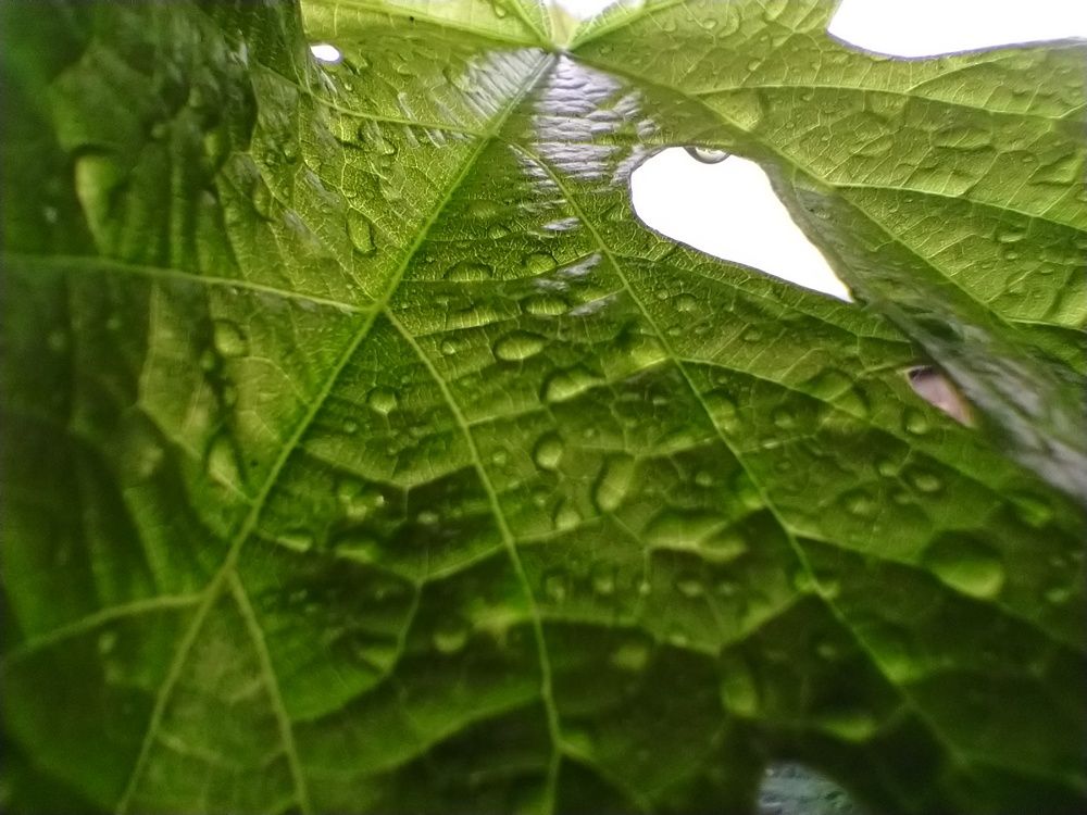 Photograph by Bojan Nikolovski