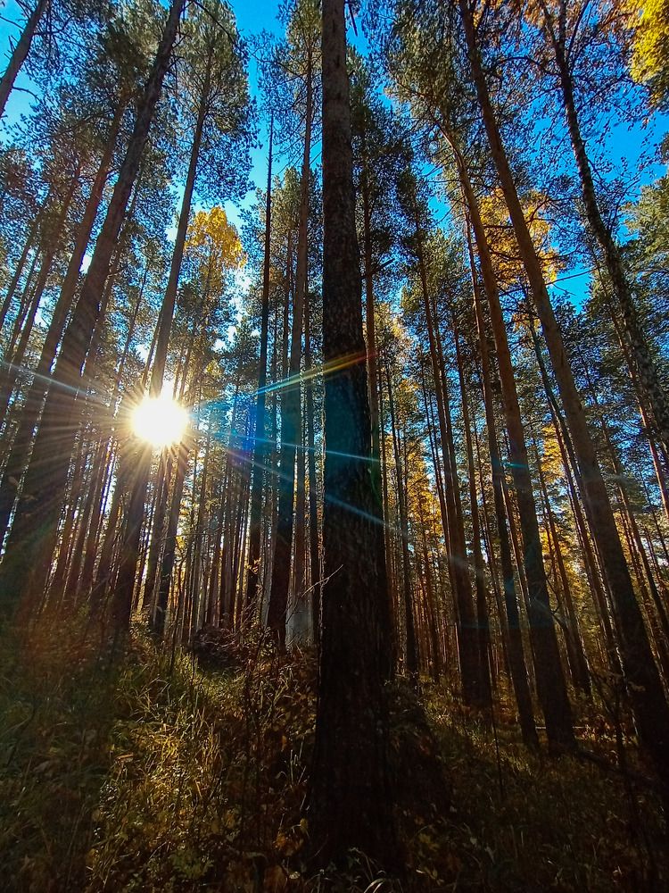 Photograph by Анастасия Чадина