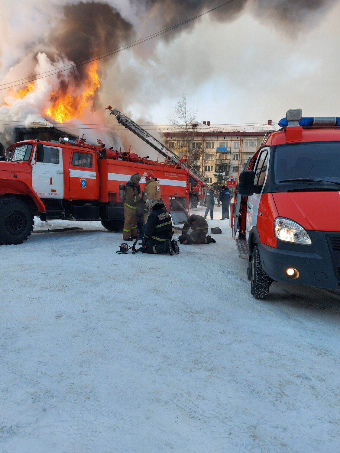 Photo #6657146