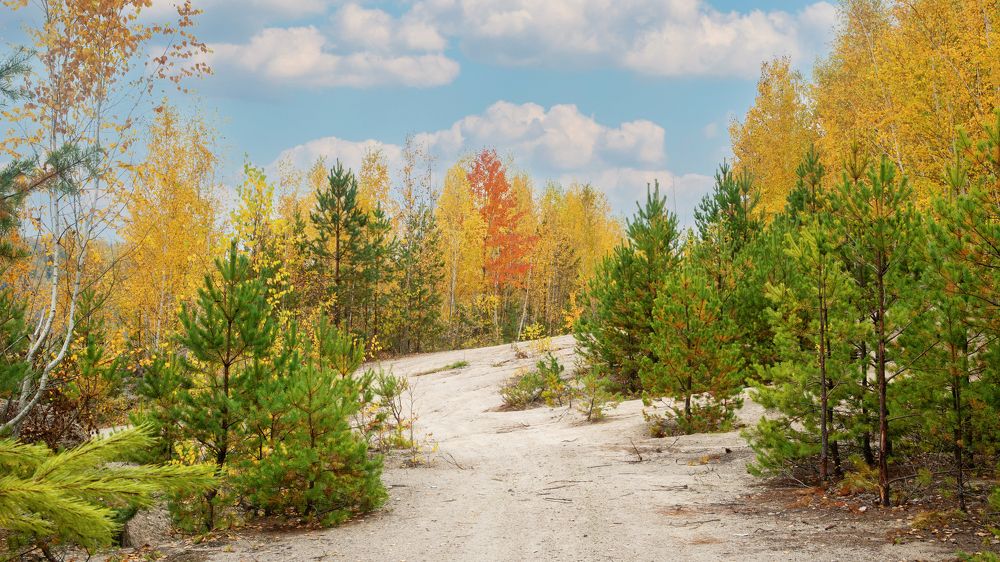 Photograph by Юлия Кучерова