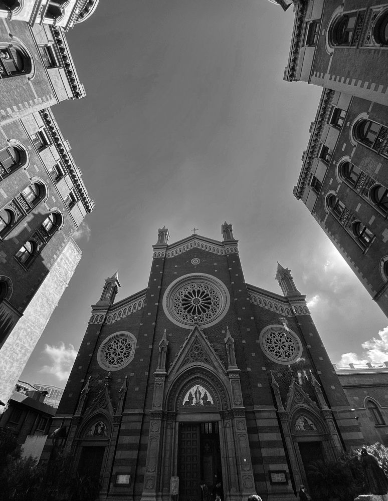 Фотография автора Hamidreza Saedi