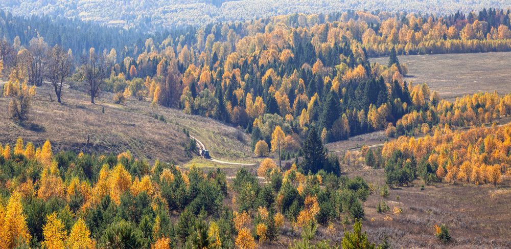 Фотография автора Александр Сальников