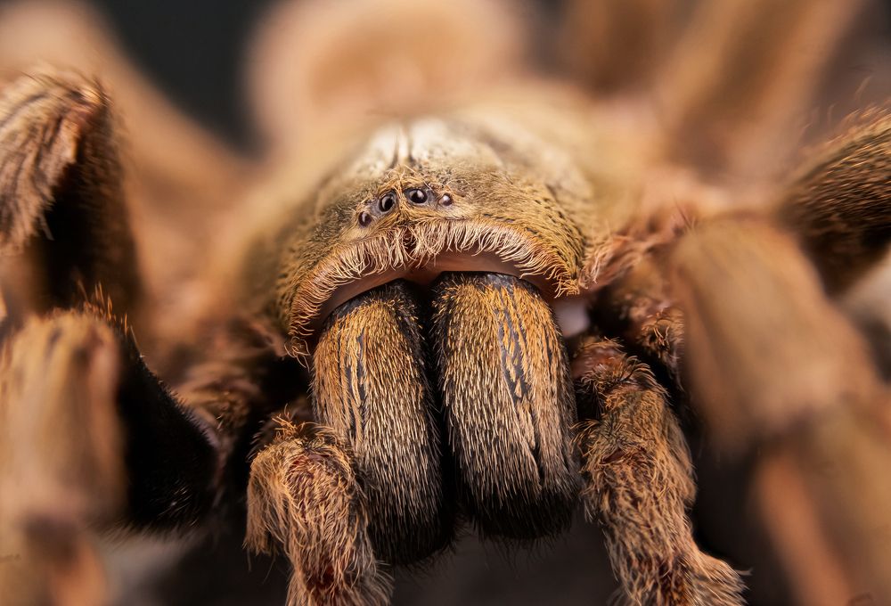 Фотография автора Филипп Толстиков