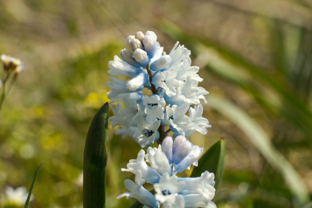 Photograph by Алексей Митницкий
