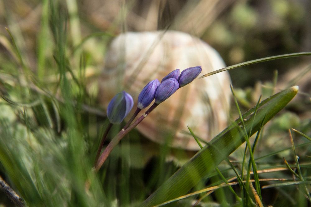 Photograph by Алексей Митницкий