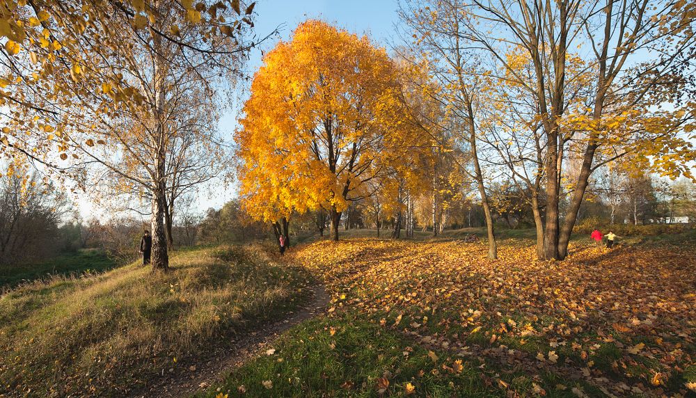 Осенние страсти