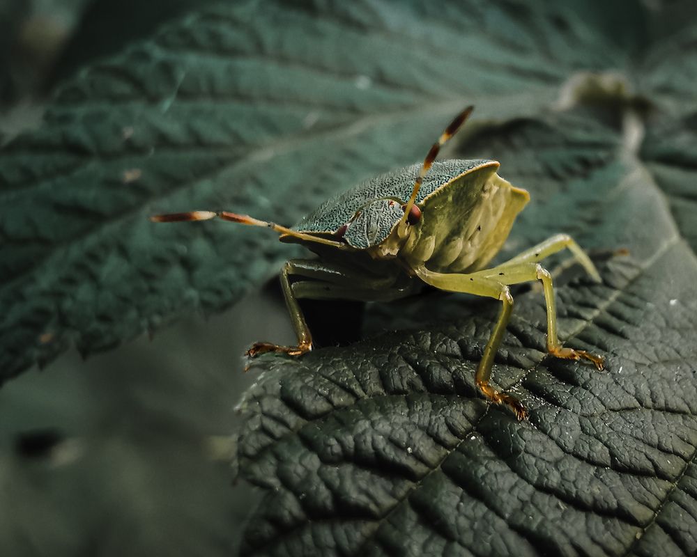 Фотография автора Дмитрий Деревянко