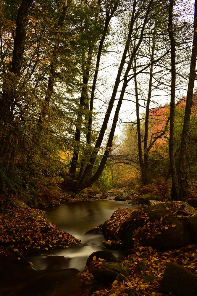 Photograph by ILIAS DIMITRIOU