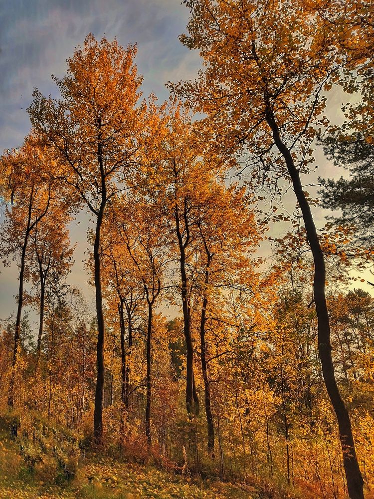 Фотография автора Виктор Крючков