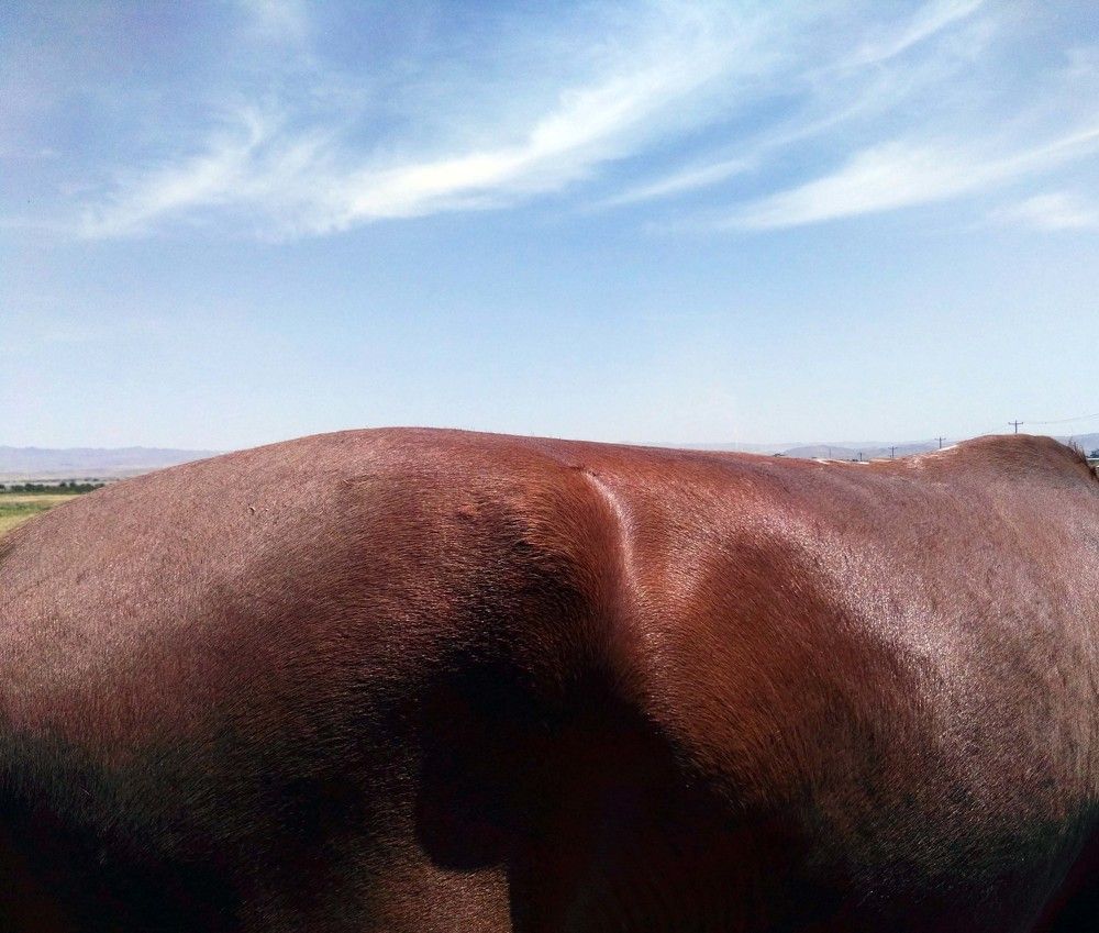 Photograph by shabnammoghadam