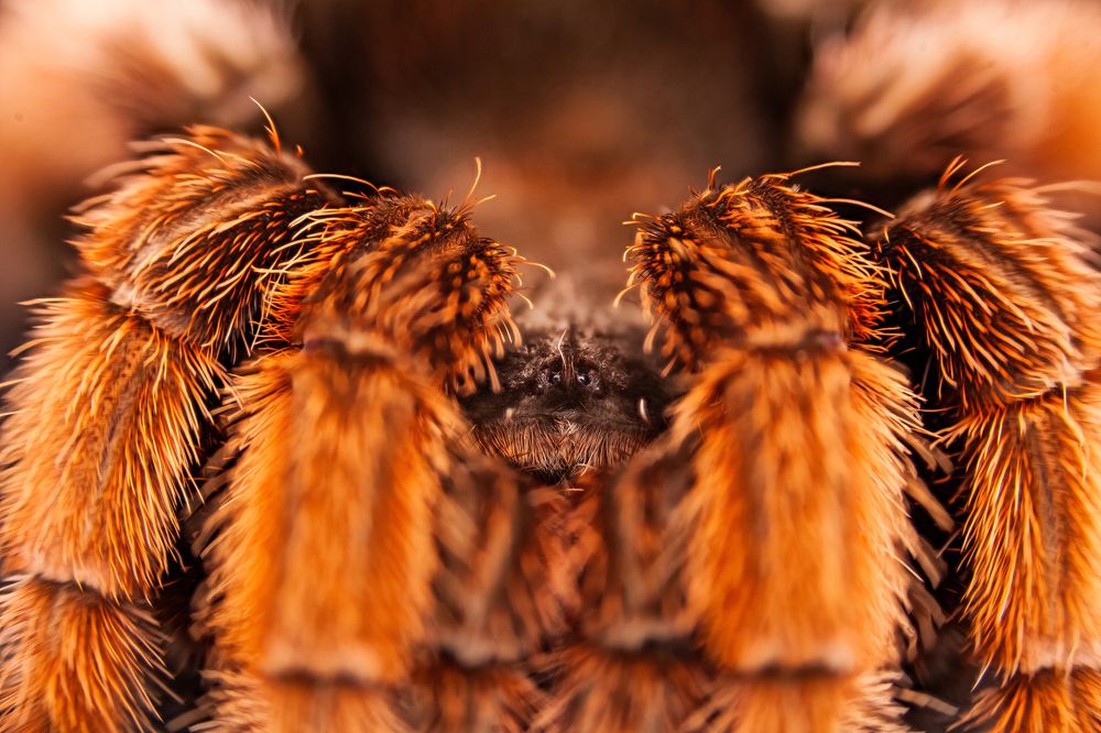 Фотография автора Филипп Толстиков