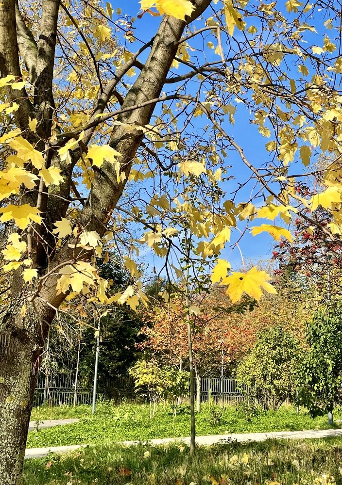 Photograph by Лариса Делия