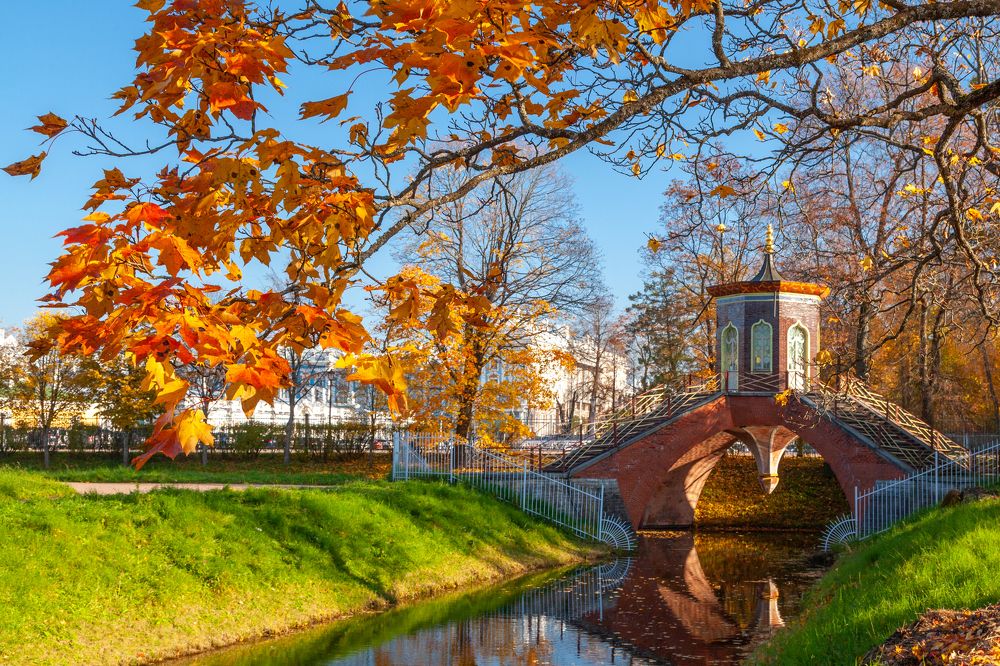 Фотография автора Анатолий Гарин