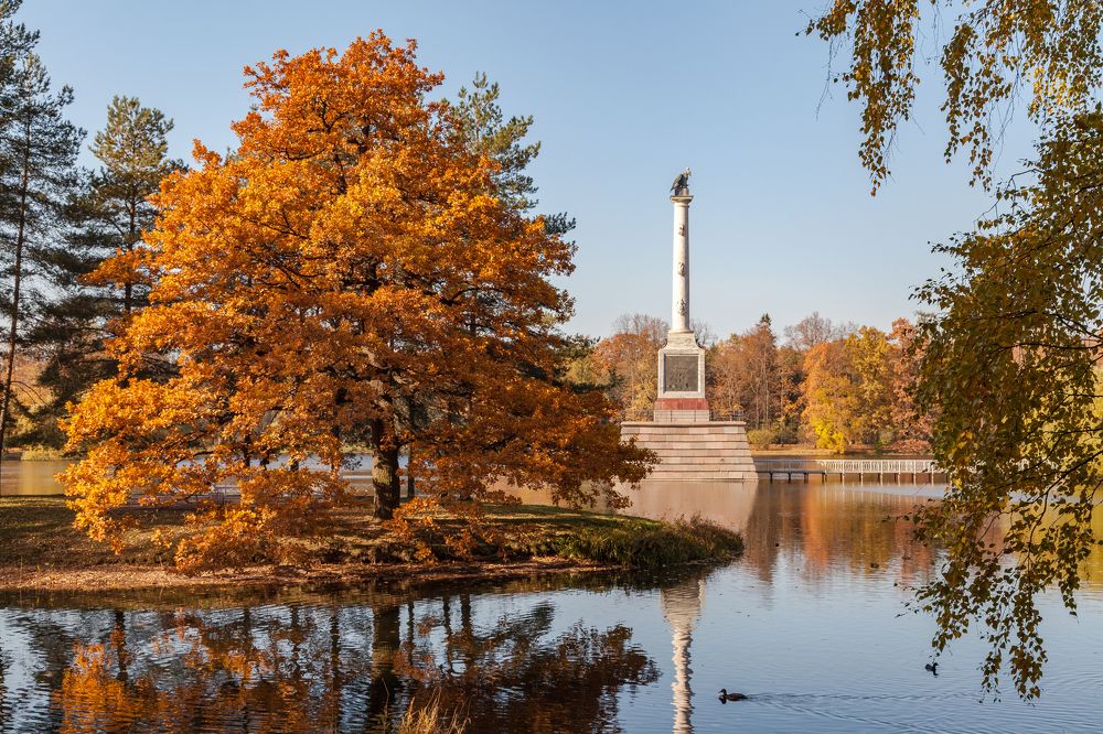 Фотография автора Анатолий Гарин