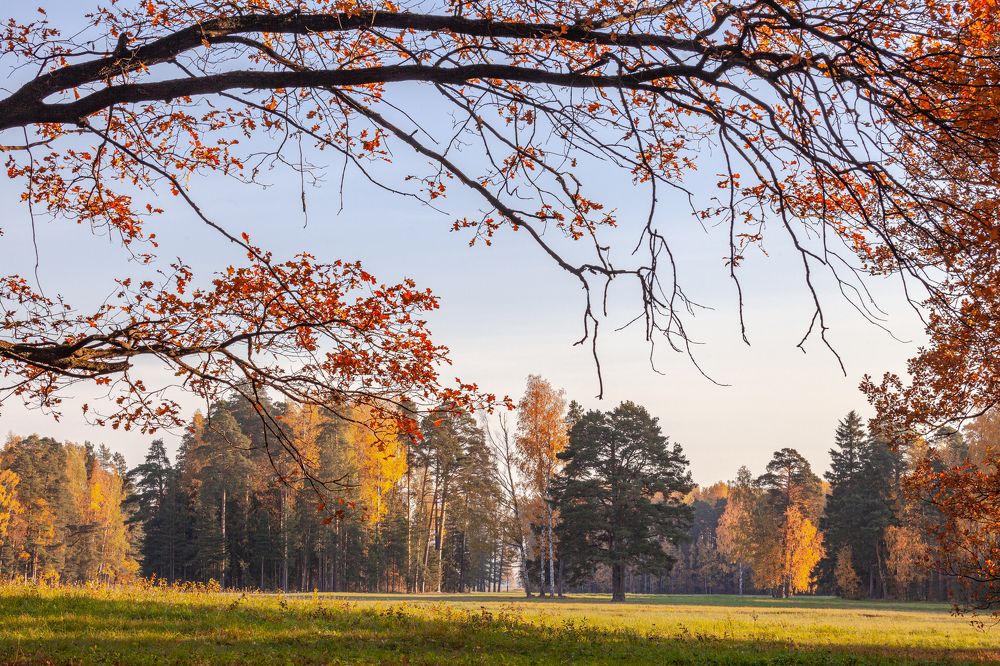 Фотография автора Анатолий Гарин