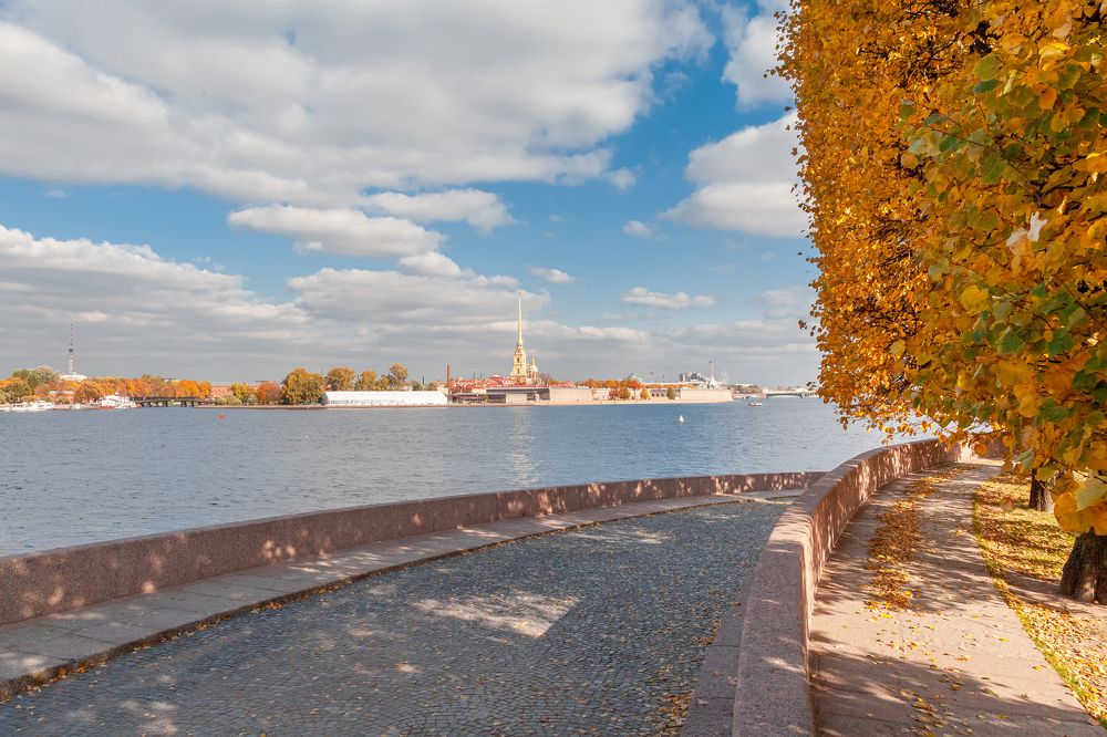 Фотография автора Анатолий Гарин