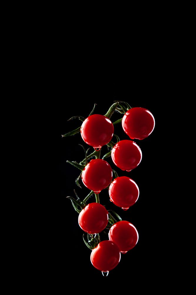 Фотография автора Анатолий Гарин