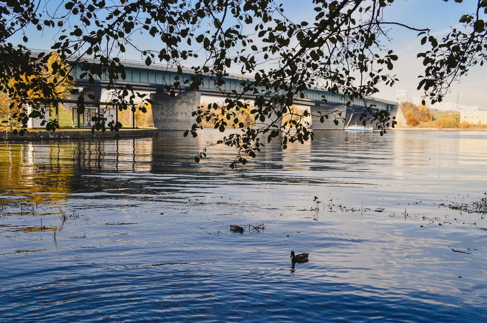 Photograph by Дарья Беляк