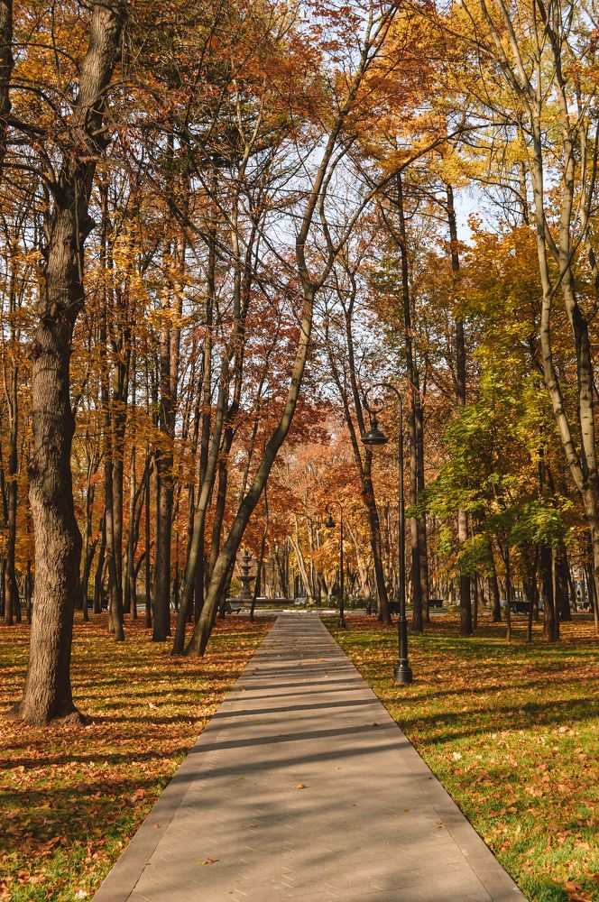 Photograph by Дарья Беляк