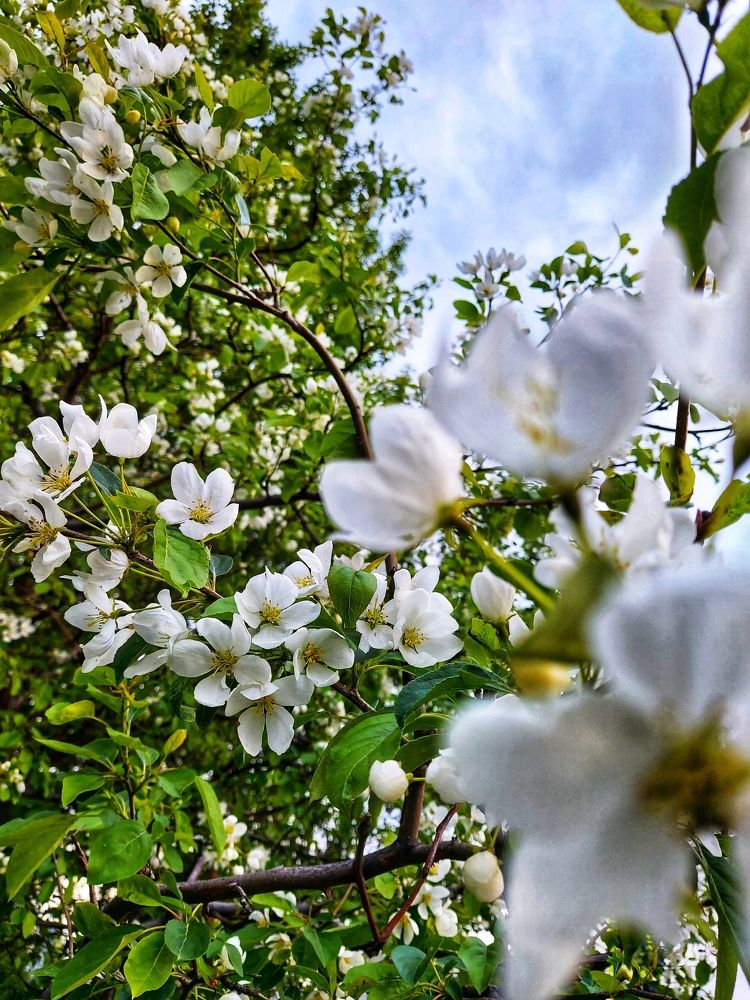 Весна в городе.