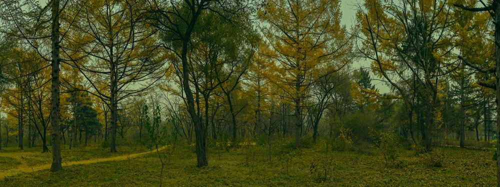 Photo #6657629