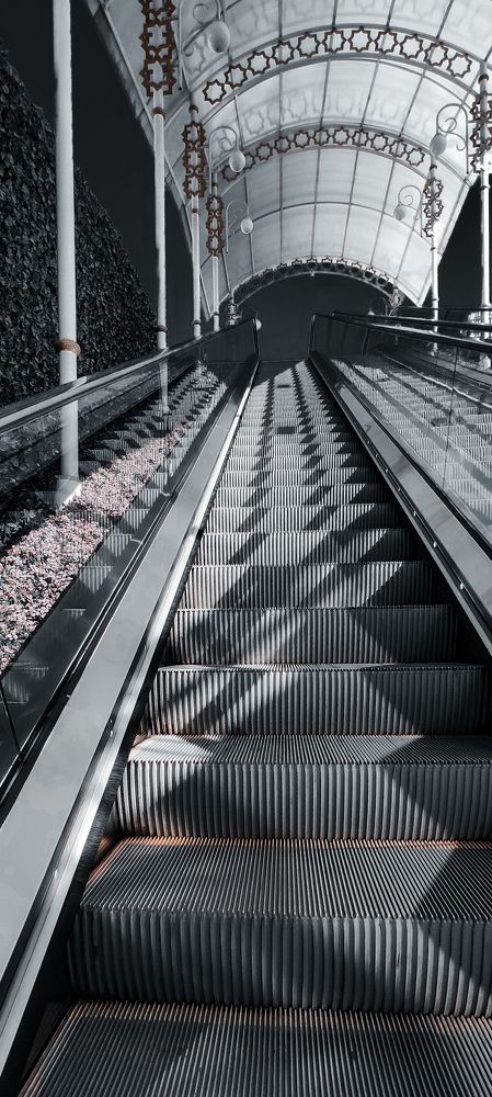 Photograph by Goldvarg Anastasiya