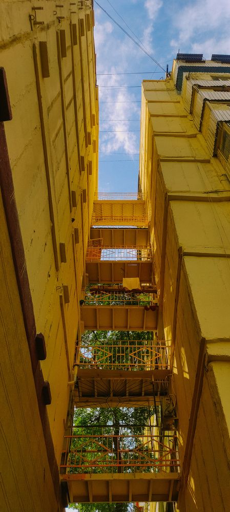 Photograph by Goldvarg Anastasiya