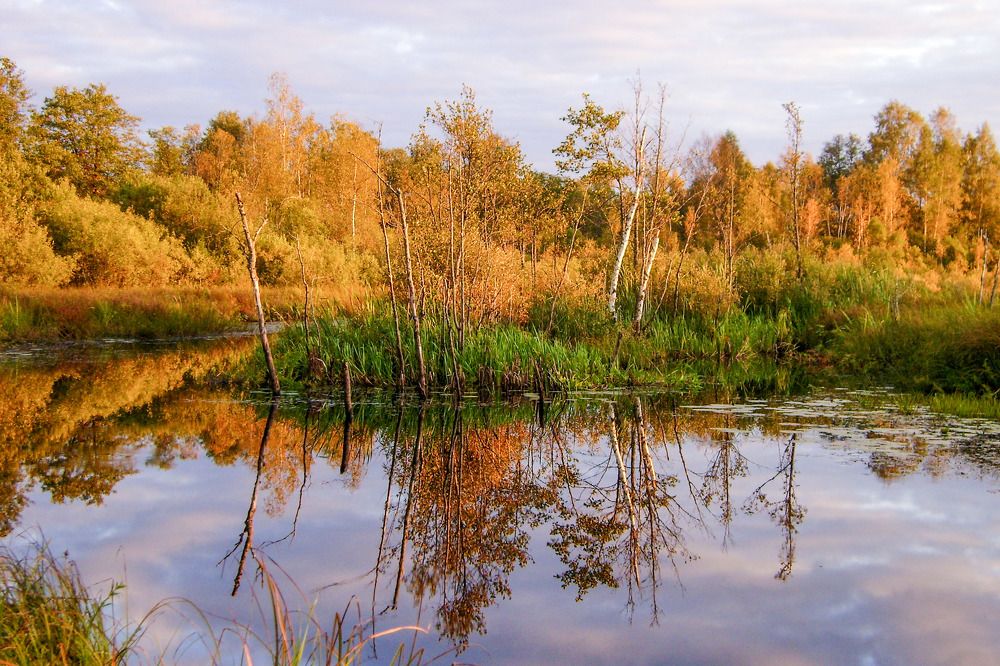 Photograph by Юлия Ястребова