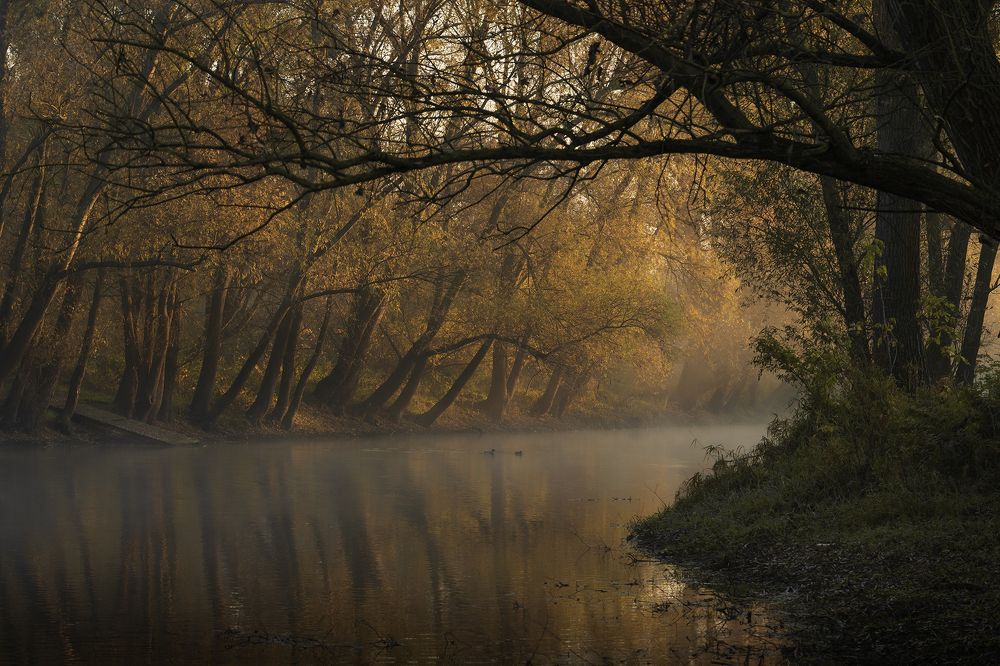 Photograph by Вячеслав Карабаш