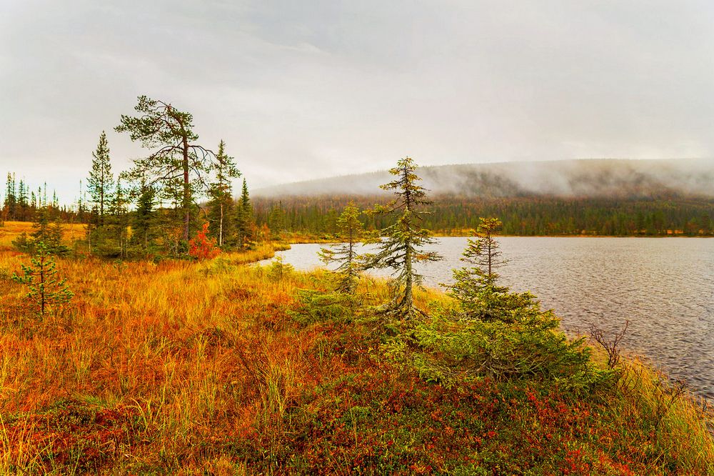 Photograph by Переслегин Александр