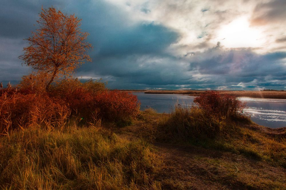 Photograph by Наталья Вторыгина