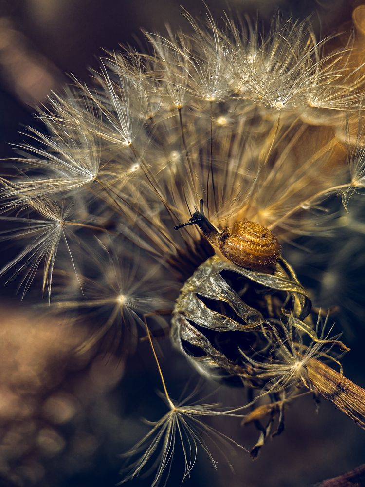 Photograph by Natalya Bulynnikova