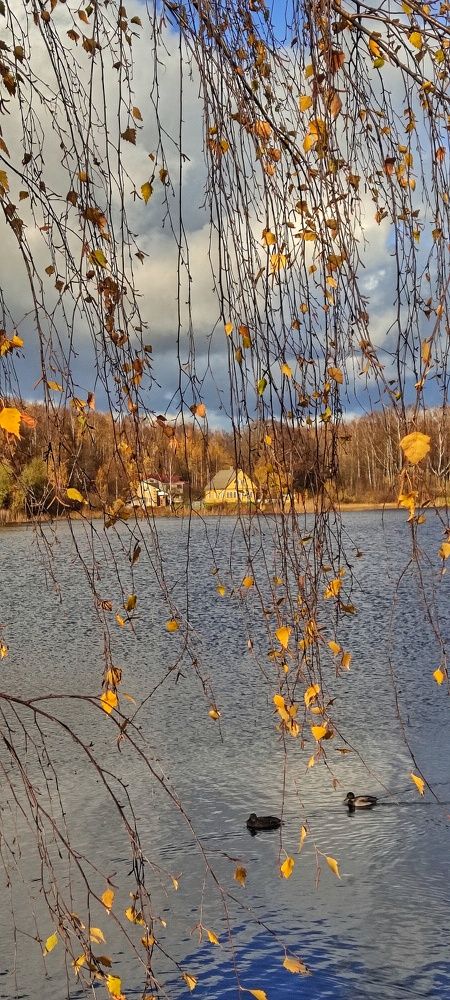 Фотография автора Виктор Крючков