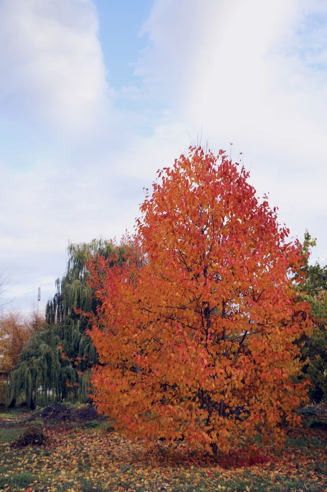Photograph by Александр Пузиков
