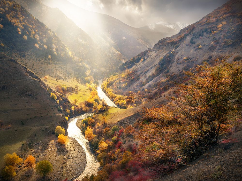 Photograph by Olga Yarovenko