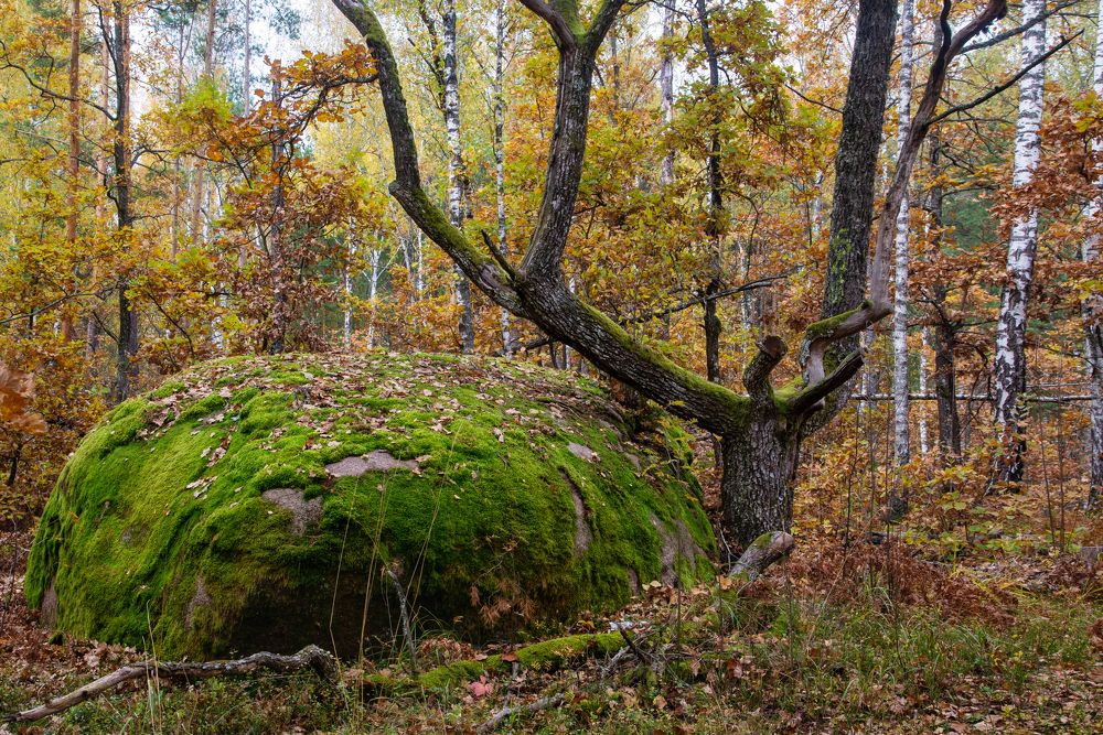 Photograph by Юлия Кучерова