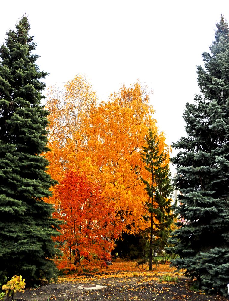 Photograph by Александр Пузиков