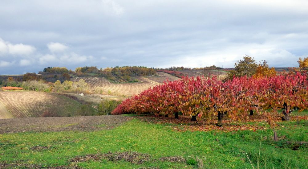 Photograph by Pjotr Alekseev