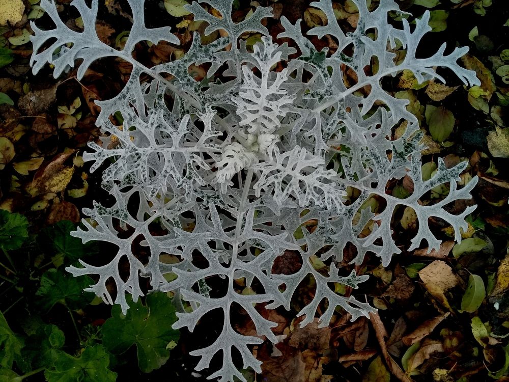 Photograph by Владимир Рандин