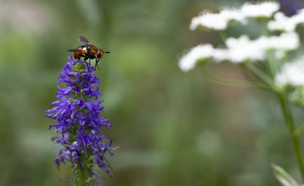 Photograph by Anton Gaev