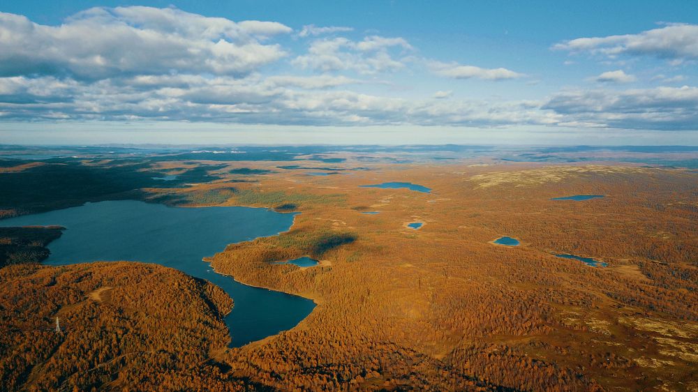 Photograph by Николаева Светлана