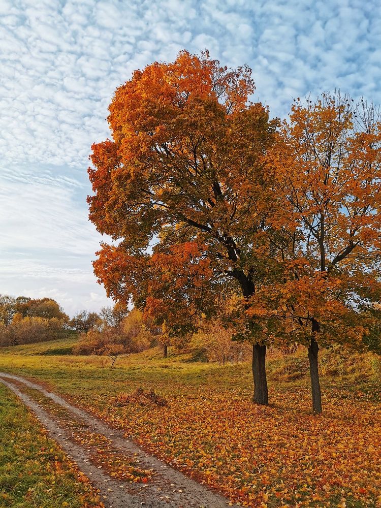 Photograph by Андрей Тур