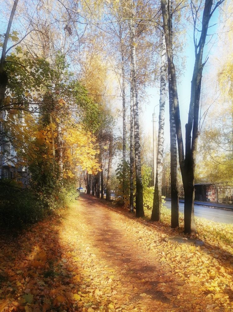 Photograph by Елена Лепешкина