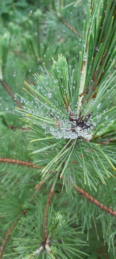 Photograph by Егор