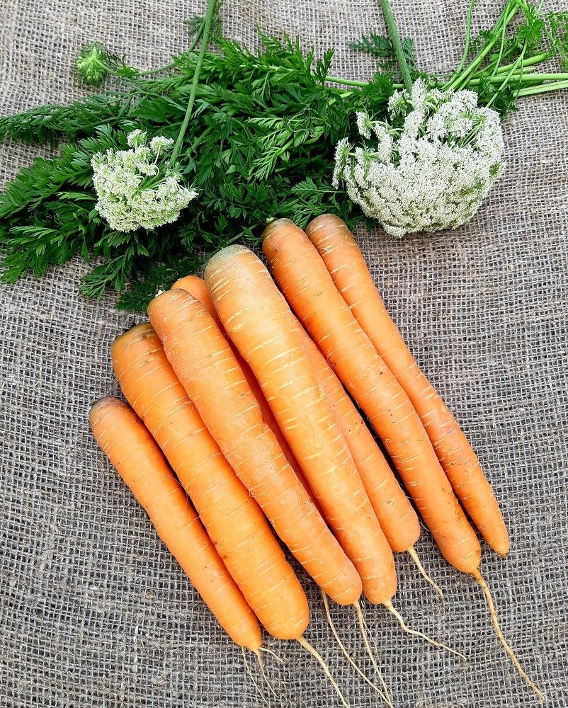 Фотография автора Ирина Лукьянчик