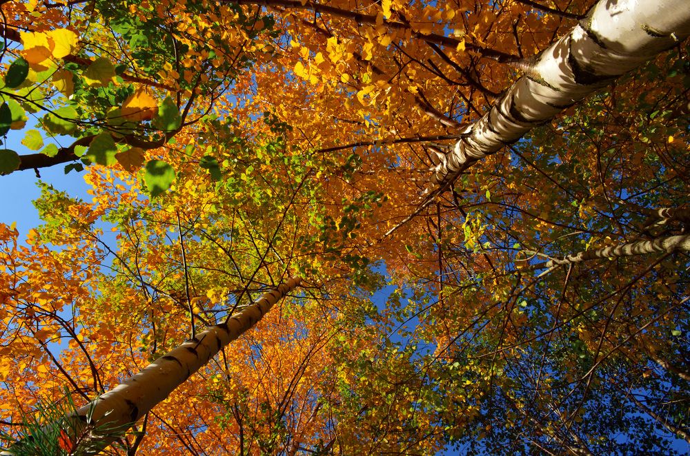 Photograph by Daria Makaidenko