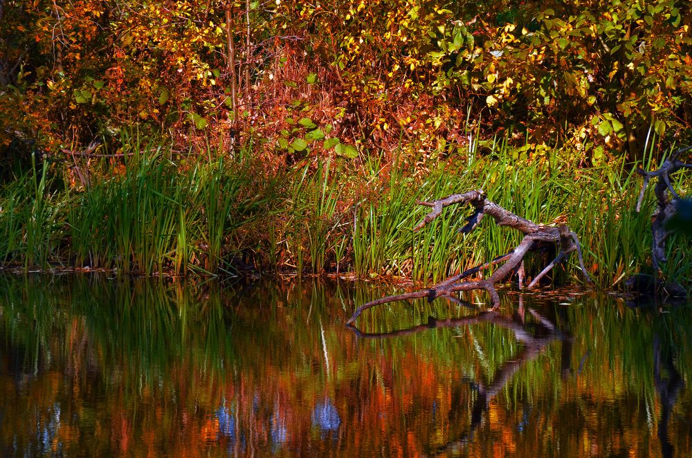 Photograph by Daria Makaidenko