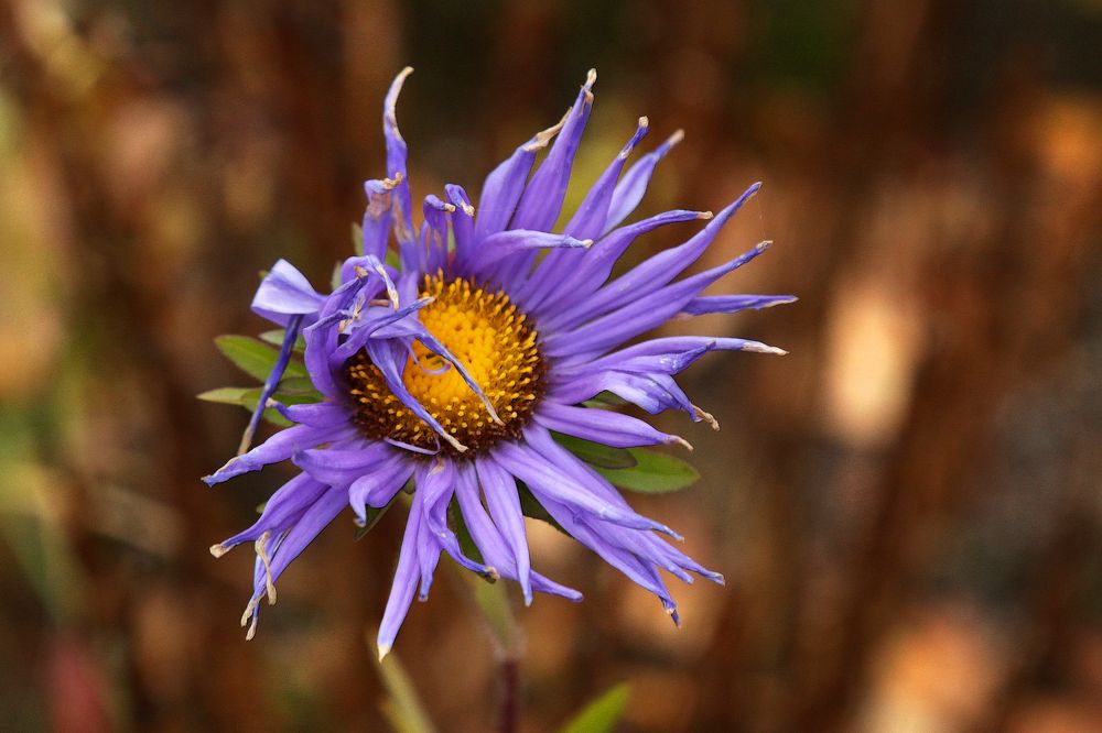 Photograph by Чурсинова Юлия
