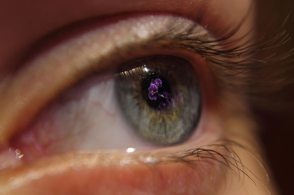 Photograph by Николай