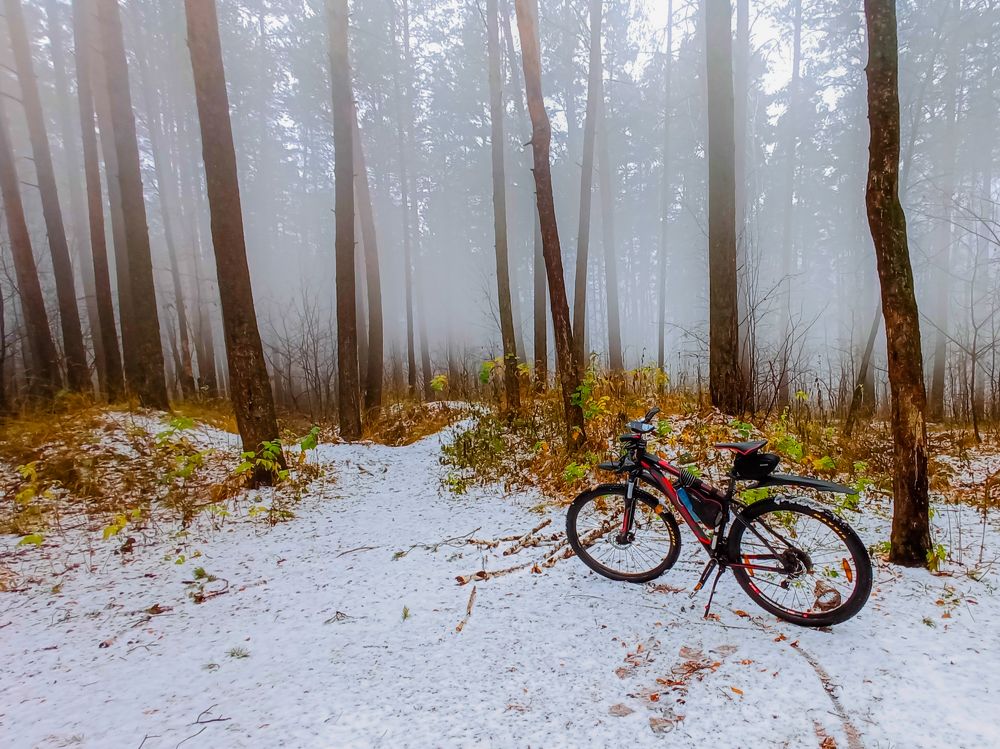 Photograph by Максим Фролов